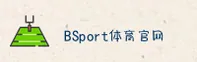 BSport(BS)官方网站 - 官方正版下载